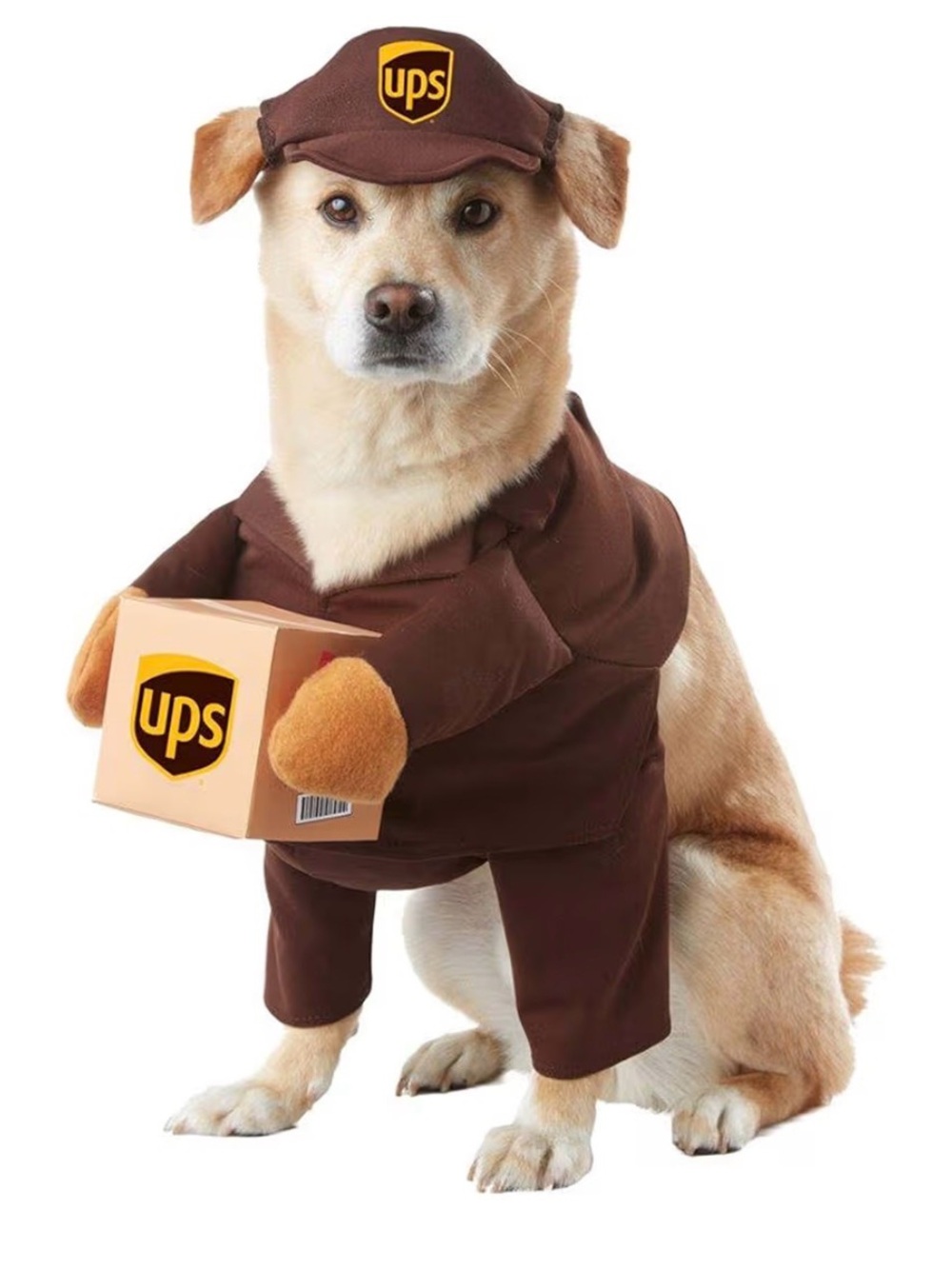 UPS Delivery Dog Costume - Novelty Pet Outfit - sz M